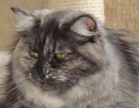 /album/fotogallerij/amy-4-okt-jpg1/